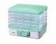 BLACKTON Bt FD1111 White-green