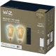 Умная лампочка WiZ E27 Wi-Fi 2700-6500 К 650 Lm и пульт ДУ (929003057001) желтое стекло 2 шт.