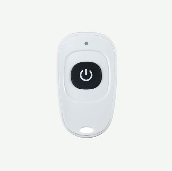 Пульт дистанционного управления HiTE PRO DST-1 для радиореле белый (DST-1-white-ready)